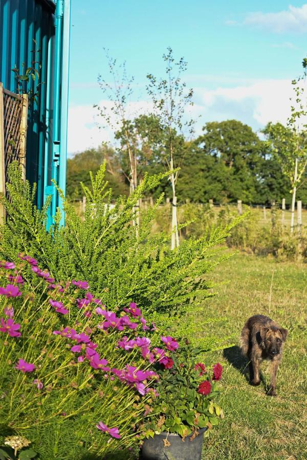 Bluebell Cabin Badsey Zewnętrze zdjęcie