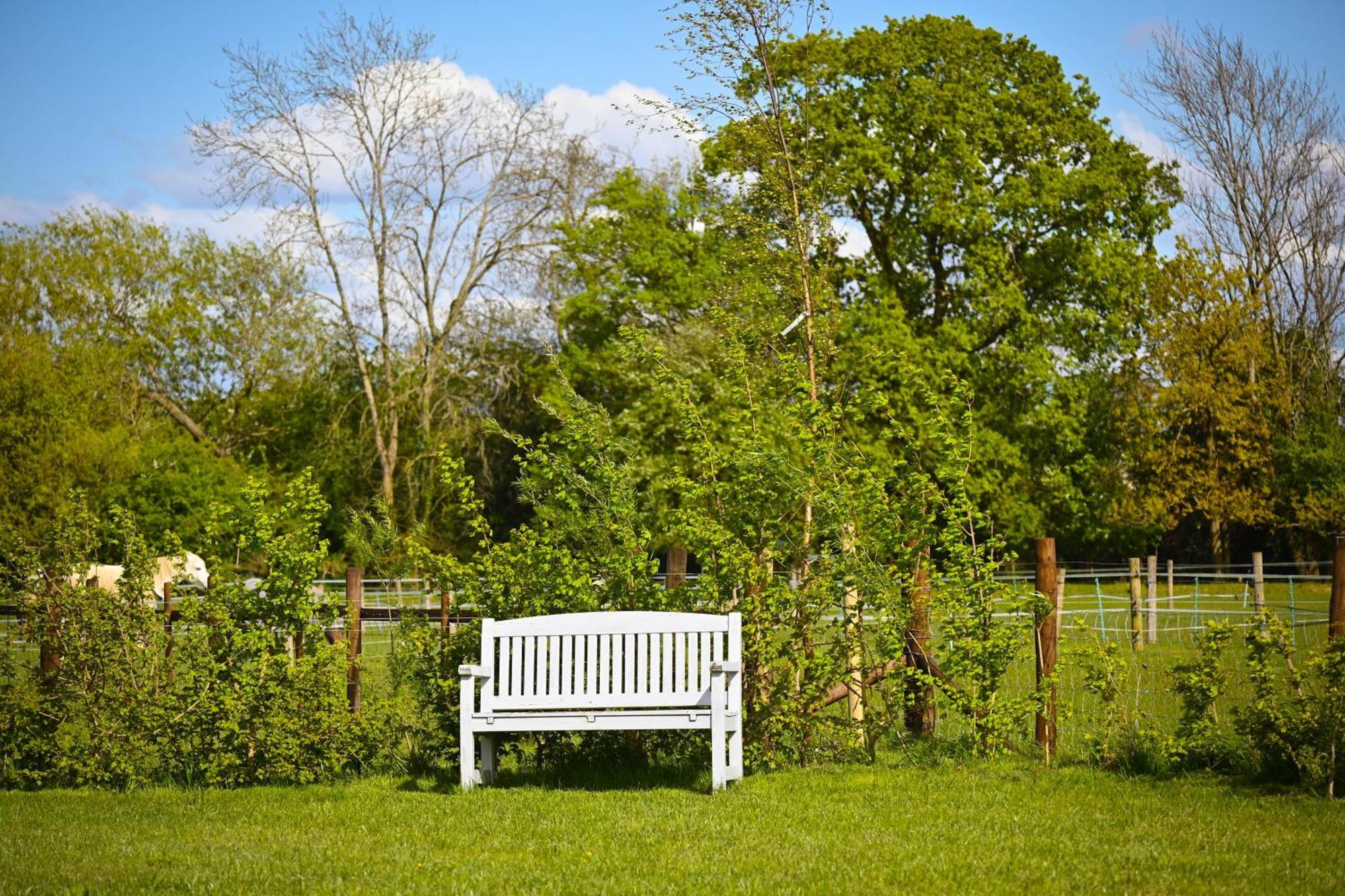 Bluebell Cabin Badsey Zewnętrze zdjęcie